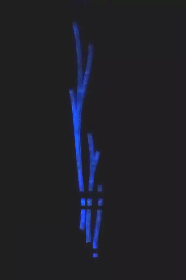 Photoluminescent strips